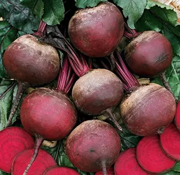 Свекла Красный Шар улучшенная (3 гр.)