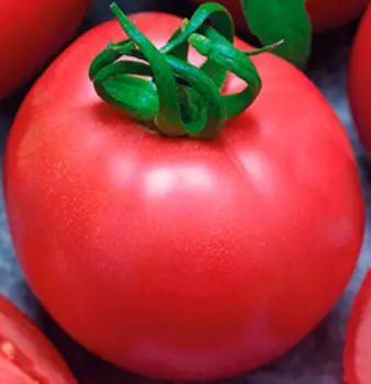Томат Розовый фламинго (0,1 гр.)
