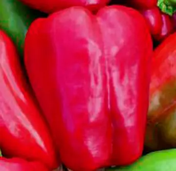 Перец Красные щёчки (сладкий) 0,25 гр.