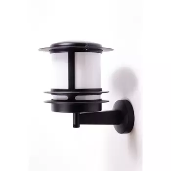 Настенный уличный фонарь IP44 68301/12 Bl Oasis Light Tokio opal