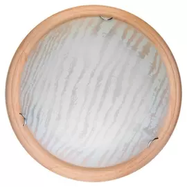 Настенно-потолочный светодиодный светильник Calista TL9490Y-00PN (TopLight)