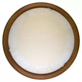 Настенно-потолочный светодиодный светильник Ginger TL9620Y-00OA (TopLight)