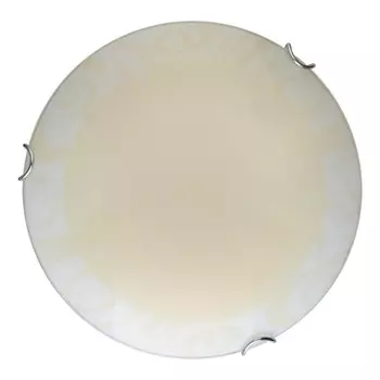 Настенно-потолочный светодиодный светильник Ginger TL9620Y-00WH (TopLight)