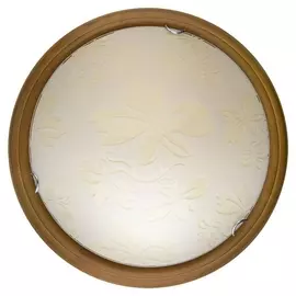 Настенно-потолочный светодиодный светильник Jane TL9640Y-00OA (TopLight)