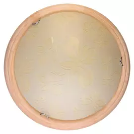 Настенно-потолочный светодиодный светильник Jane TL9640Y-00PN (TopLight)