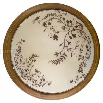 Настенно-потолочный светодиодный светильник TopLight Irene TL9630Y-00OA
