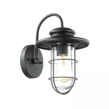 Настенный уличный фонарь IP44 Odeon Light Helm 4171/1W
