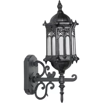 Настенный фонарь уличный Oasis Light DELI S 89901S/08 Bl