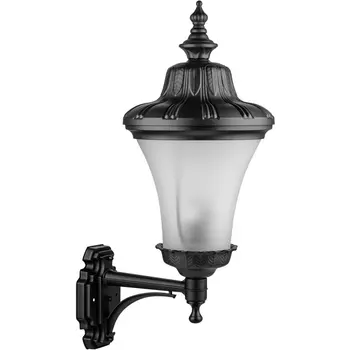 Настенный фонарь уличный IP44 Oasis Light ELBA 86401/01 Bl
