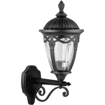 Настенный фонарь уличный IP44 Oasis Light FES 86301 02 Bl