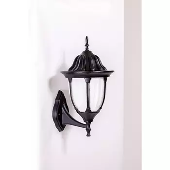 Настенный фонарь уличный IP44 Oasis Light GENUYA 92101/04 Bl