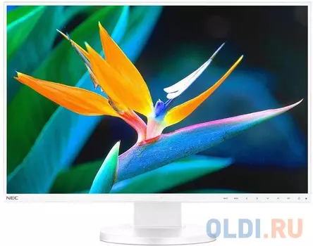 Монитор 24" NEC EA241WU белый IPS 1920x1200 300 cd/m^2 6 ms DisplayPort VGA Аудио USB DVI HDMI EA241WU