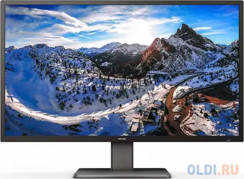 Монитор 43" Philips 439P1/00