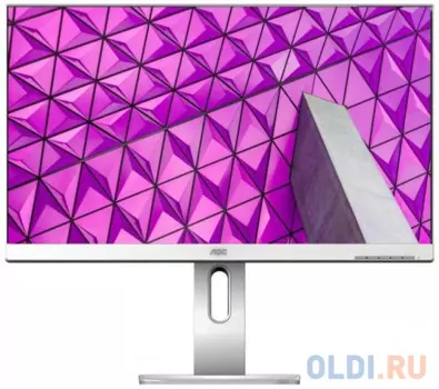 Монитор 24" AOC Professional X24P1/GR