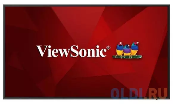 Монитор 65" ViewSonic CDE6520 черный IPS 3840x2160 450 cd/m^2 8 ms VGA DisplayPort HDMI Аудио USB LAN