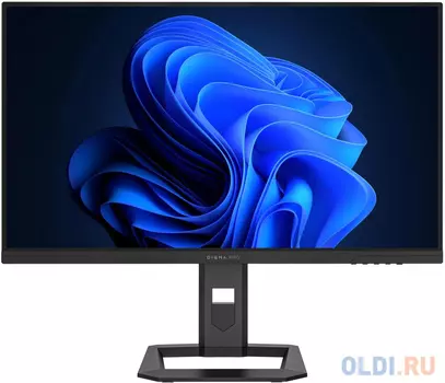 Монитор Digma Pro 27" Action S черный IPS LED 1ms 16:9 HDMI матовая 450cd 178гр/178гр 2560x1440 180Hz DP 2K 5.7кг