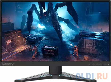 Монитор Lenovo 24.5" G25-20 черный TN LED 0.8ms 16:9 HDMI HAS 400cd 170гр/160гр 1920x1080 DisplayPort FHD 5.5кг