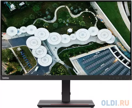 Монитор 24" Lenovo ThinkVision S24e-20 черный VA 1920x1080 250 cd/m^2 4 ms VGA HDMI Аудио 62AEKAT2EU