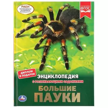 Энциклопедия А4 с развивающими заданиями – Большие пауки