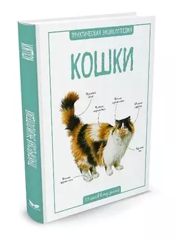 Энциклопедия - Кошки