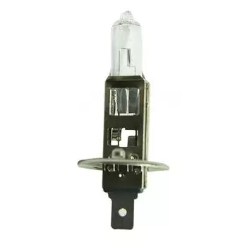 Лампа галогенная Koito H1 (P14.5s, T8), 12В, 55Вт, 3000К, 1 шт