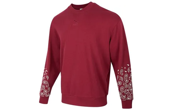 Толстовка Sports Life Collection унисекс красная Puma, красный
