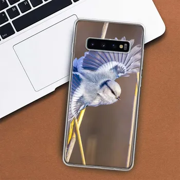 Чехол для телефона «Сорока с птицей» для Samsung Galaxy M21 M12 M31S M32 M51 M52 Note 20 Ulte 10 Plus 9 8 J4 J6 + J8 M11 F52 F62 Samsung M11