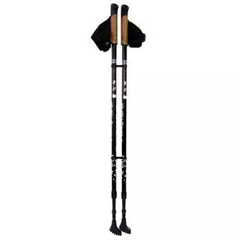 Палки для скандинавской ходьбы двухсекционные Basic Walker