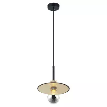Светильник подвесной Lussole LOFT LSP-8488