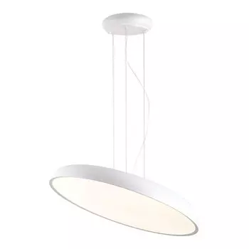Светильник подвесной Lussole Crook LSP-7361
