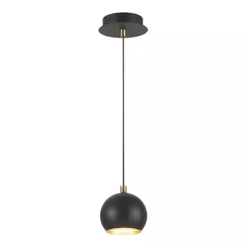 Светильник подвесной Lumion Dondoo 3635/1