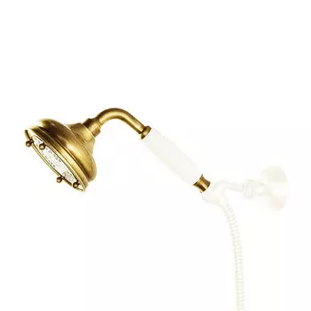 Душевая лейка Caprigo Parts 99-160-oro золото