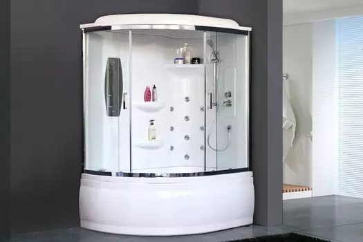 Душевая кабина Royal Bath RB 170ALP-T-CH 170x100 (прозрачное) правая