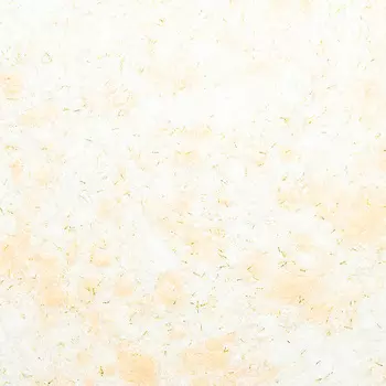 Жидкие обои Silk Plaster Эко Лайн 765 бежевые 0,744 кг