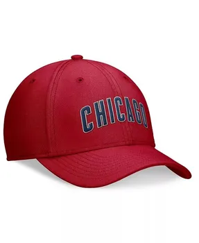 Мужская кепка Chicago Cubs Evergreen Performance Flex Nike, синий