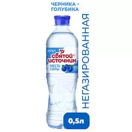 Вода питьевая негазированная с ароматом ирги, голубики и экстрактом черники Святой Источник 0,5л
