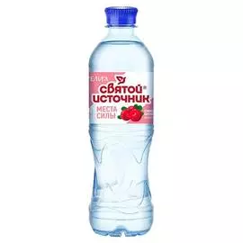 Вода питьевая негазированная с ароматом клюквы, брусники и экстрактом клюквы Святой Источник 0,5л