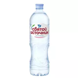 Вода природная негазированная Святой Источник 1л