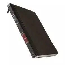 Чехол TwelveSouth BookBook Vol 2 12-1905 для iPad Pro 11", натуральная кожа, коричневый