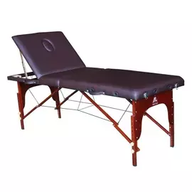 Массажный стол DFC Relax Pro TS3022_B1 коричневый
