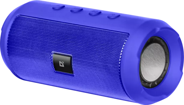 Акустика портативная Defender Enjoy S500, 10Вт, FM, USB, microSD, Bluetooth, синий (65680)