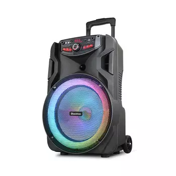 Акустика Blackton Bt PBS2113, 40 Вт, FM, AUX, USB, microSD, Bluetooth, подсветка, черный (Bt PBS2113)