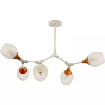 Люстра Evoluce Потолочная Ciotolla SLE113502-05