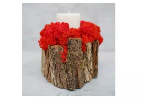 Декоративная свеча с красным мхом (wowbotanica) коричневый 16x16x19 см.