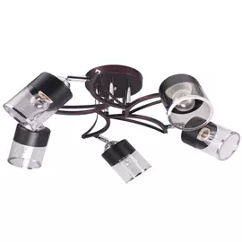 люстра потолочная CAIMAN Satoi 5х60Вт Е27 стекло венге хром
