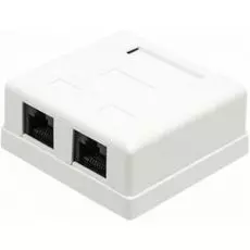Компьютерная розетка настенная TWT TWT-SM2-4545-WH 2 порта RJ-45, категории 5е, белая