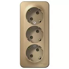 Розетка Schneider Electric BLNRA010314 3-я с/з без шторок изолир. пластина 16А, 250В Титан наруж