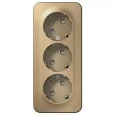 Розетка Schneider Electric BLNRA011314 3-я с/з со шторками 16А, 250В, изолир. пластина Титан наруж