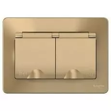 Розетка Schneider Electric BLNRS441124 2-ая с/з со шторками IP44, 16А, 250В Титан внутр