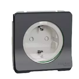 Розетка Schneider Electric MUR36135 с/з и шторками, винт. клеммы, IP55 антрацит